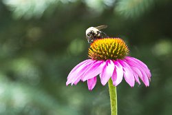 23 30-Jul-13 12-54-27 D800 005